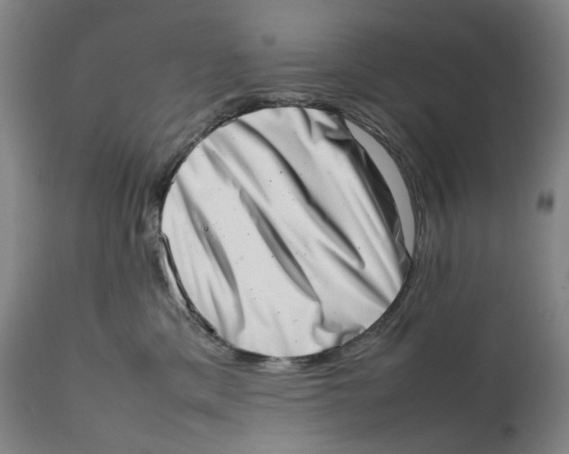 X0000111660425200908071438