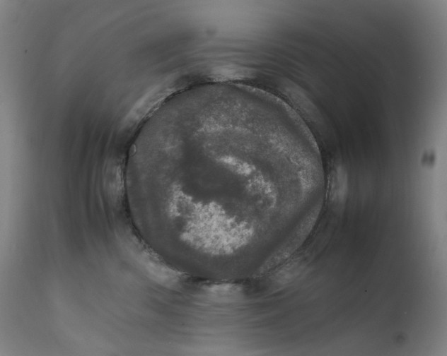 X0000111660426200908071438