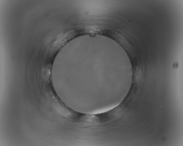 X0000111660427200908071438