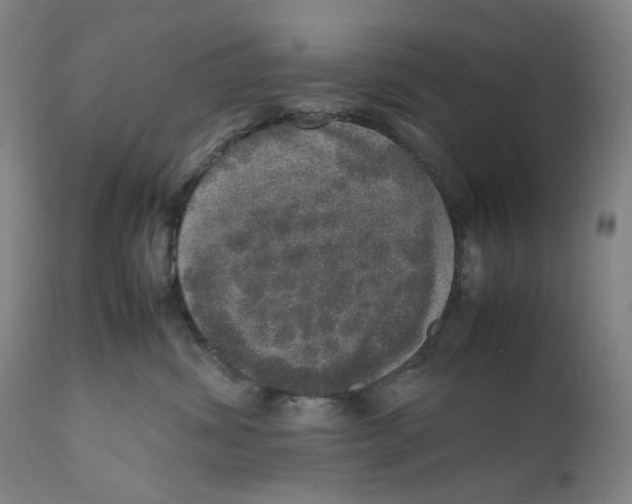 X0000111660428200908071438