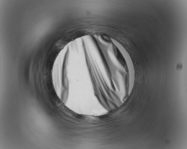 X0000111660429200908071438