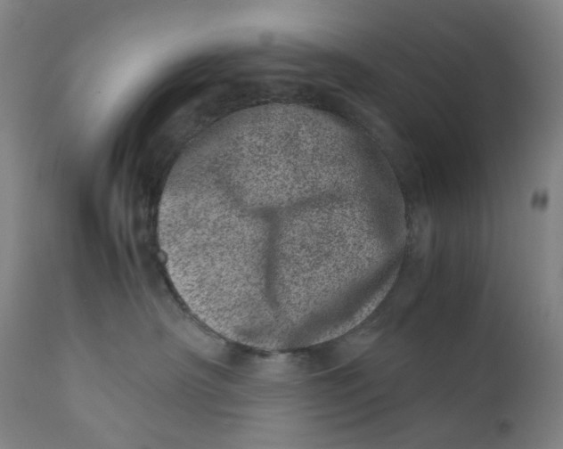 X0000111660430200908071438