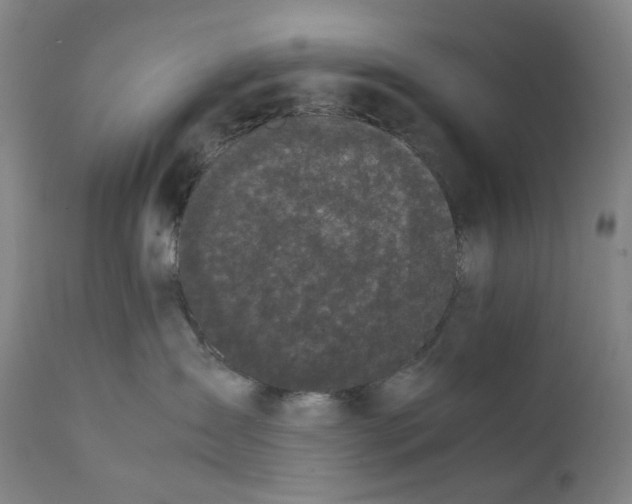 X0000111660431200908071438