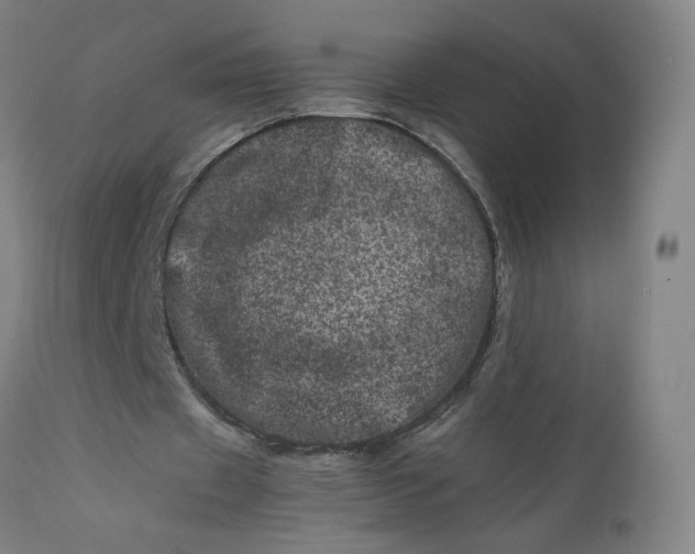 X0000111660433200908071437