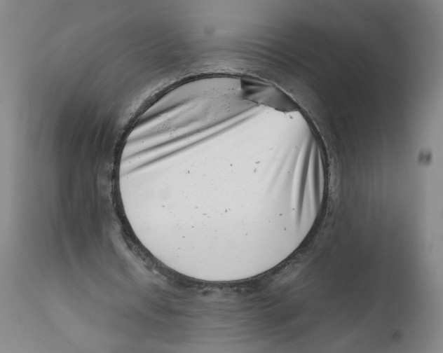 X0000111660434200908071437