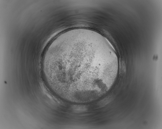 X0000111660435200908071437