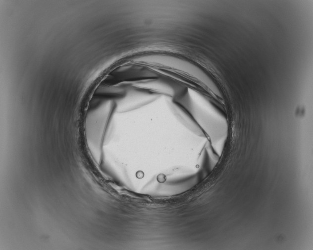 X0000111660436200908071437