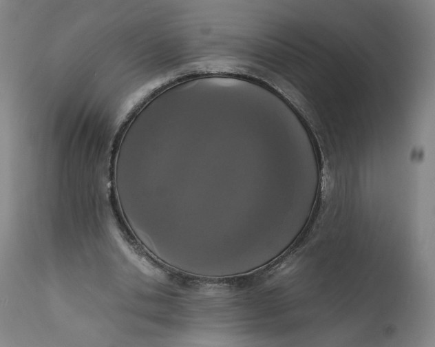 X0000111660438200908071437