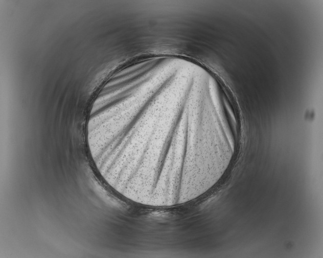 X0000111660441200908071437