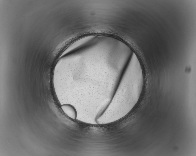 X0000111660442200908071437