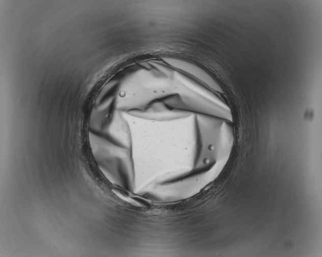 X0000111660444200908071437