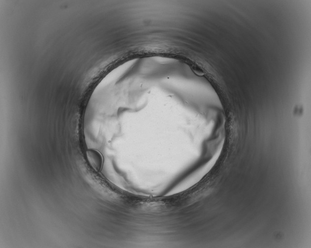 X0000111660446200908071437