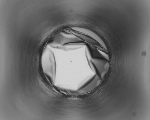 X0000111660448200908071437