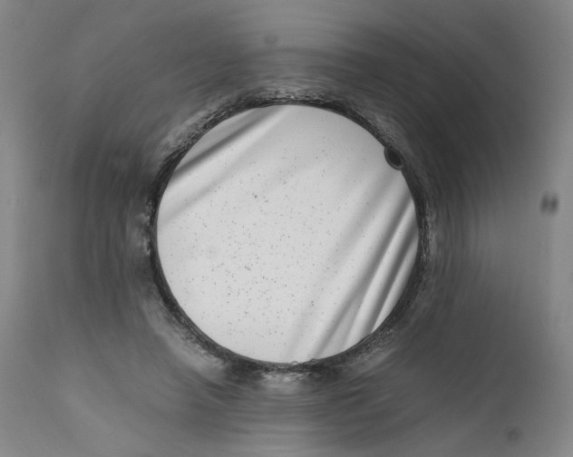 X0000111660450200908071437