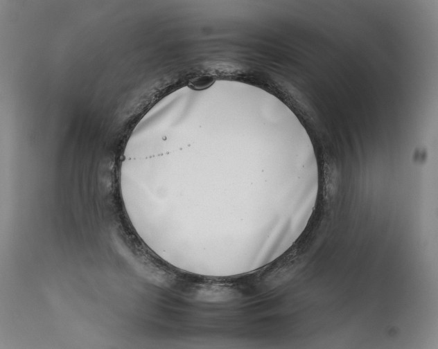 X0000111660451200908071437