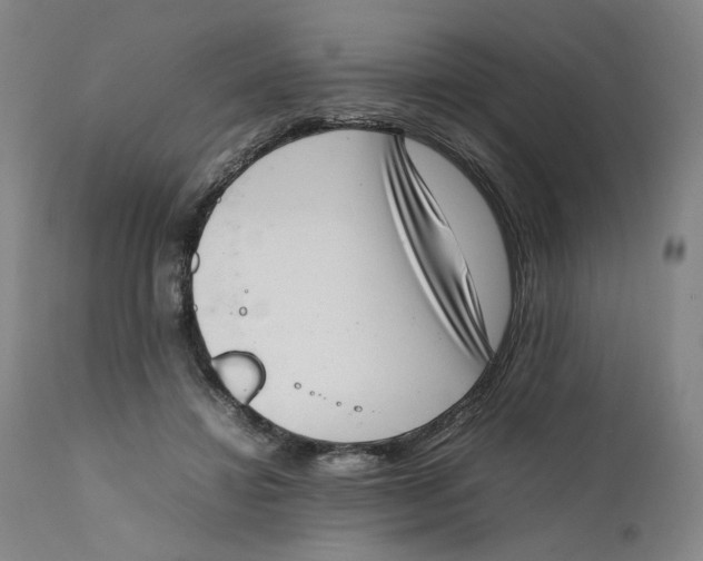 X0000111660452200908071437