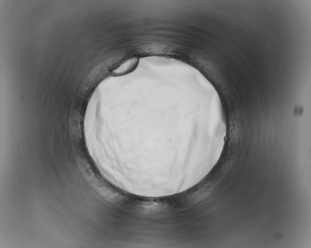 X0000111660453200908071437