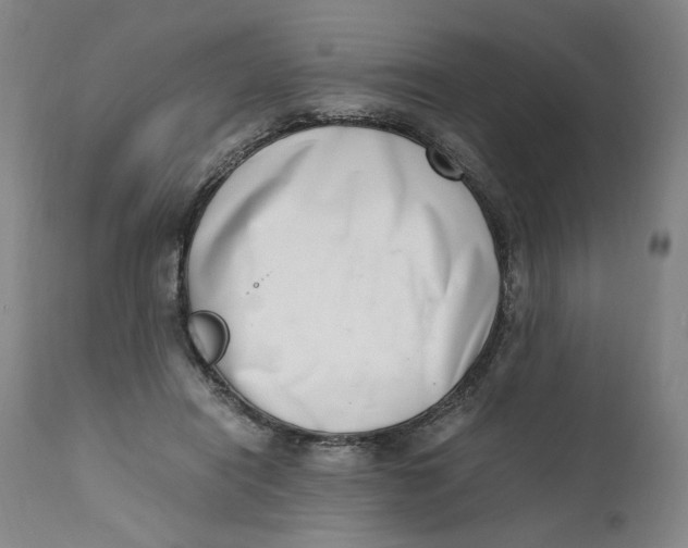 X0000111660454200908071437