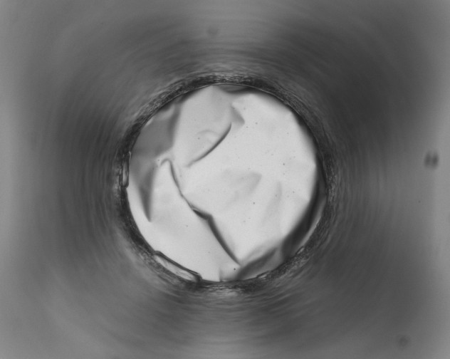 X0000111660456200908071437