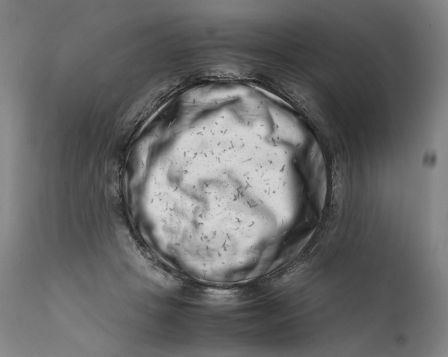 X0000111660457200908071437