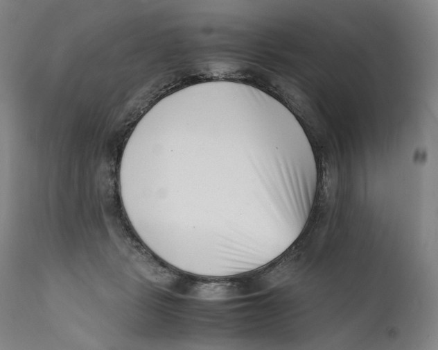 X0000111660461200908071438