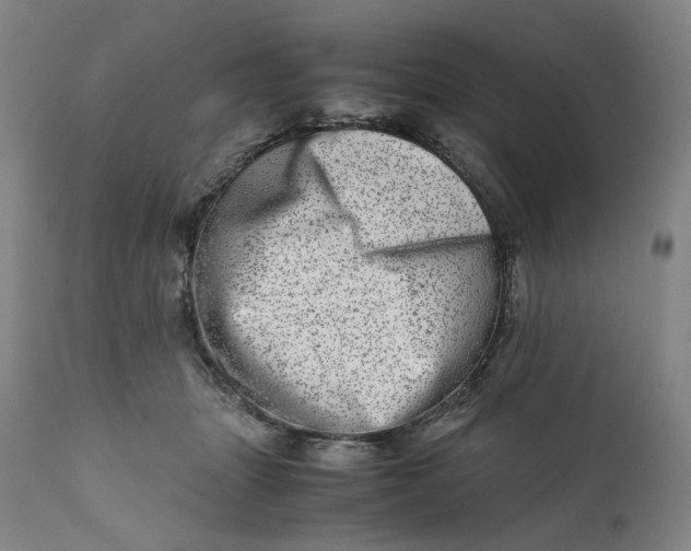 X0000111660463200908071438