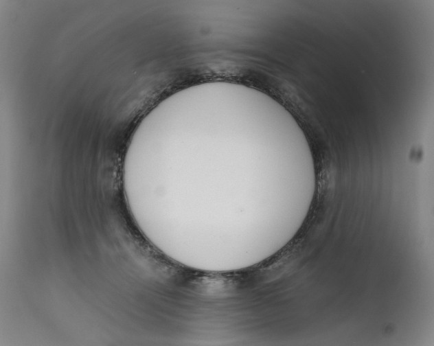 X0000111660464200908071438