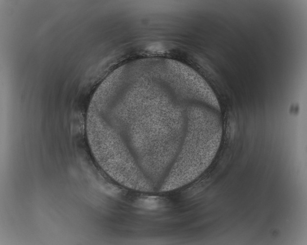 X0000111660467200908071438