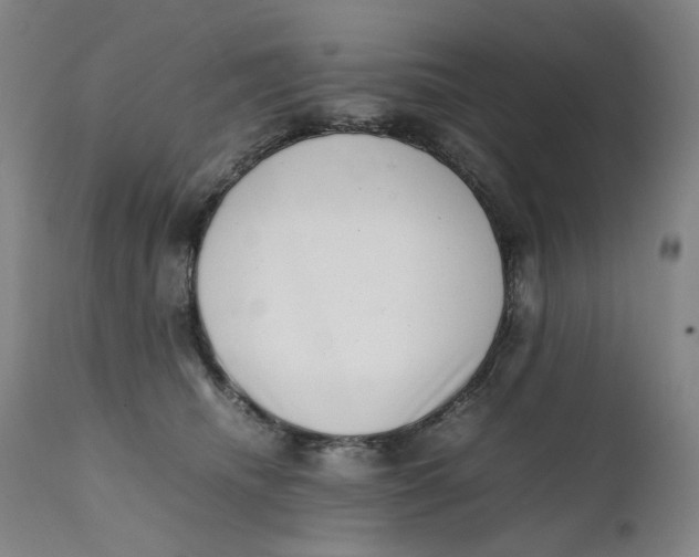 X0000111660468200908071438