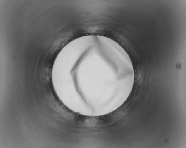 X0000111660470200908071438