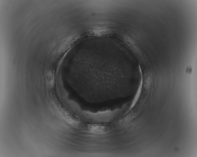 X0000111660471200908071438