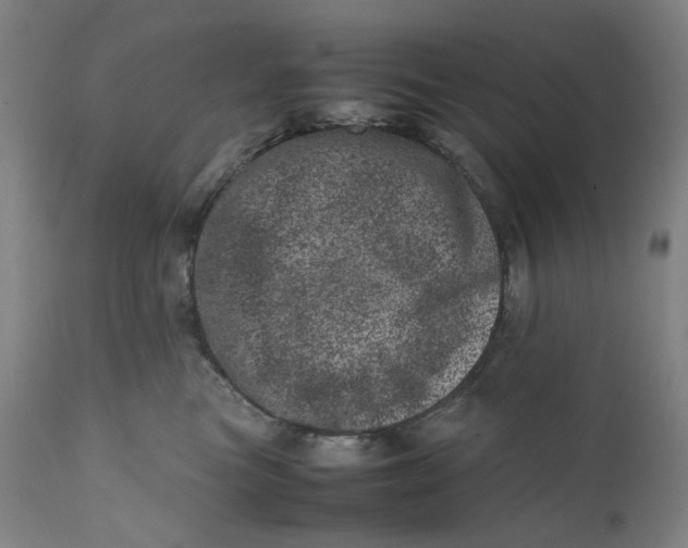 X0000111660473200908071438