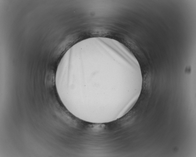 X0000111660474200908071438