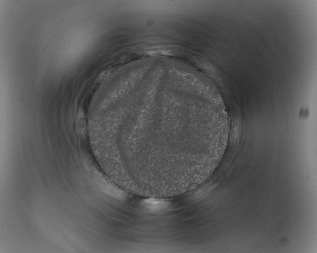 X0000111660477200908071438