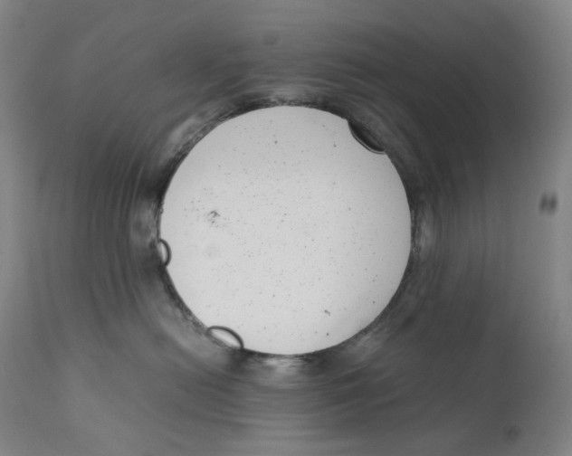 X0000111660478200908071438