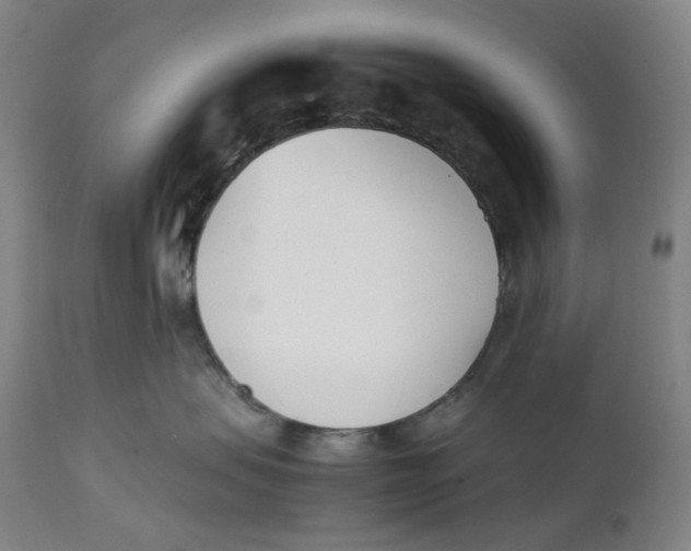 X0000111660479200908071438