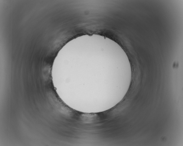 X0000111660480200908071438