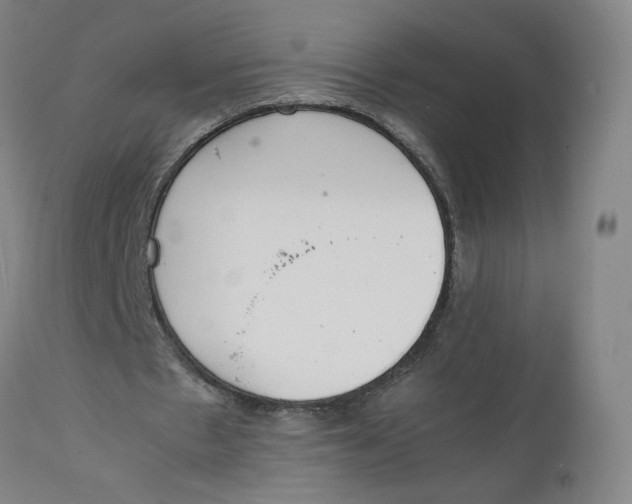 X0000111660481200908071437