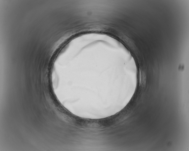 X0000111660483200908071437