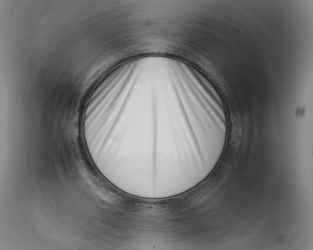 X0000111660486200908071437