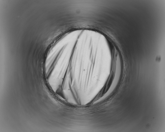 X0000111660489200908071437