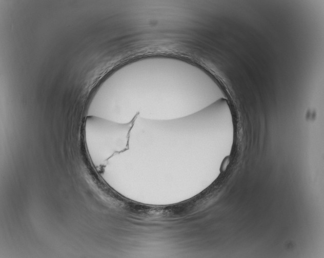 X0000111660493200908071437