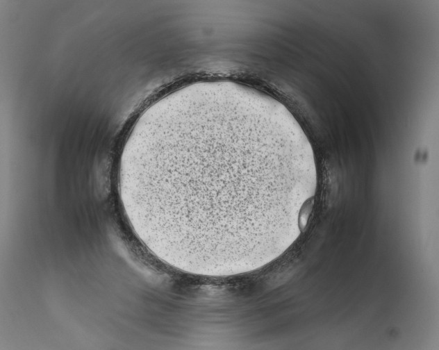 X0000111660496200908071437