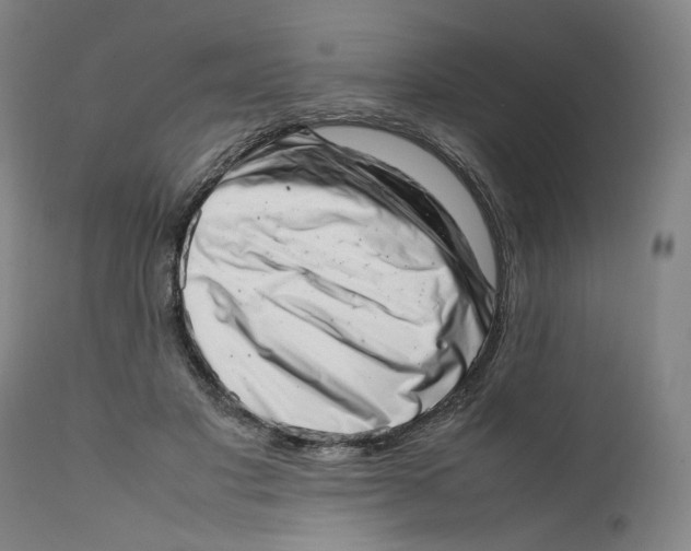 X0000111660501200908071437