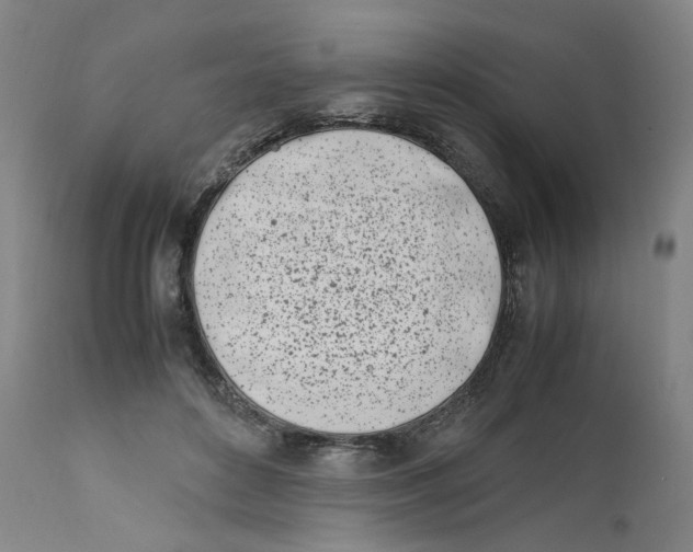 X0000111660504200908071436