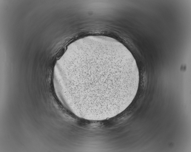 X0000111660505200908071436