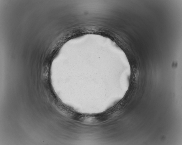 X0000111660507200908071436