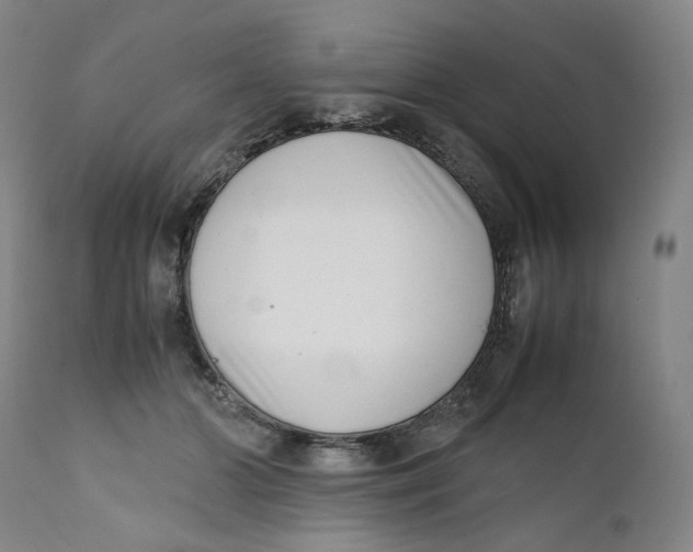 X0000111660510200908071436