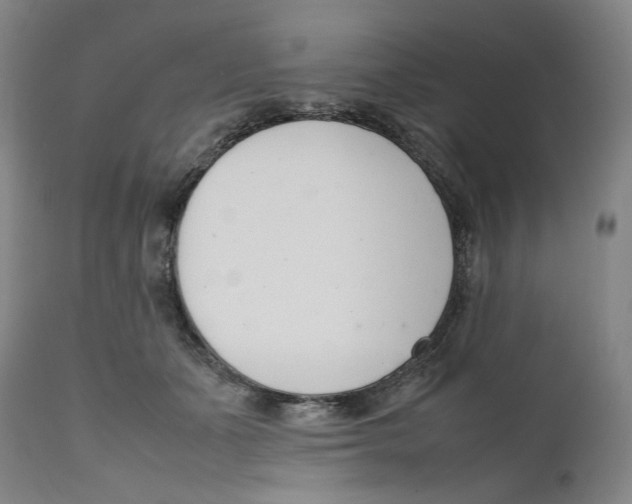 X0000111660511200908071436