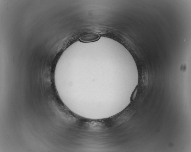 X0000111660512200908071436